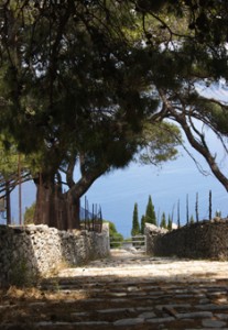 La paysage sauvage de l'île de Spetsès - Feuille de choux
