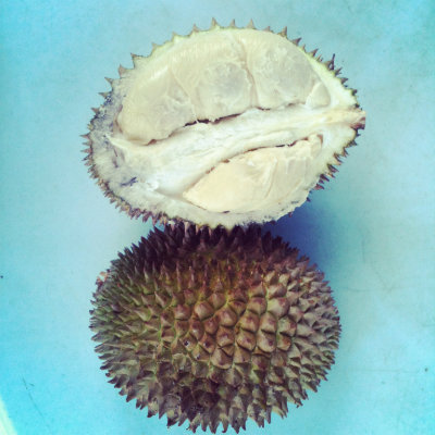 Durian, Fruit malais - Feuille de choux