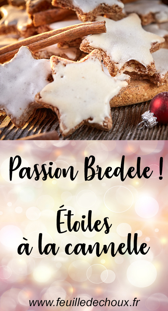 bredele etoiles a la cannelle feuille de choux