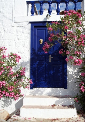 porte bleue sur Hydra - Feuille de choux