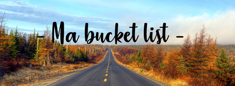 bucket list ma liste de reves et d'envies- feuille de choux