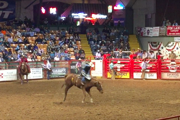 voir un rodeo au texas