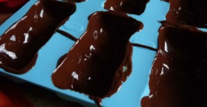 ourson-chocolat-feuille-de-choux