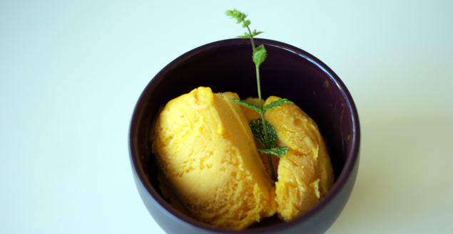 sorbet-melon-feuille-de-choux