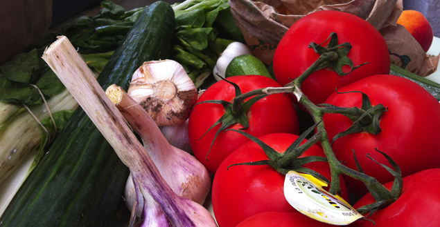 tomates-concombres-bio-panier-bio-feuille-de-choux