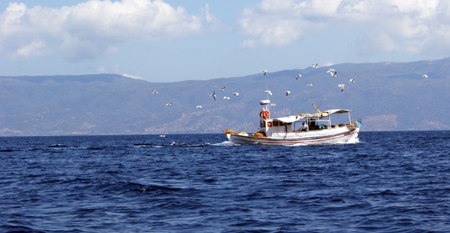 Ile de spetses Grece - Feuille de choux