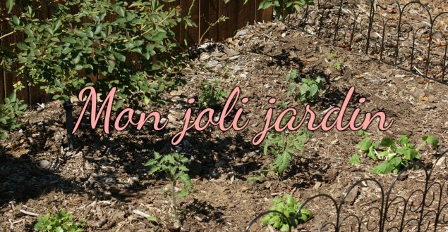 Commencer un joli petit jardin-Feuille de choux