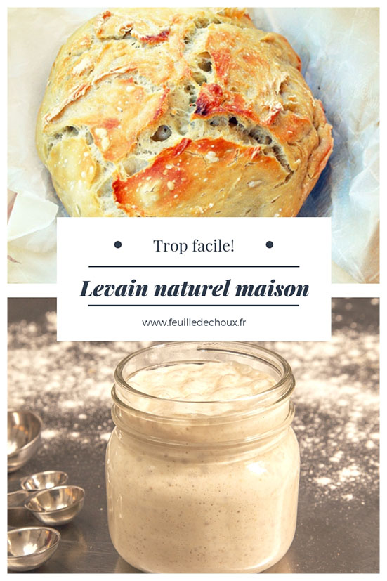 levain naturel maison tout pour réussir