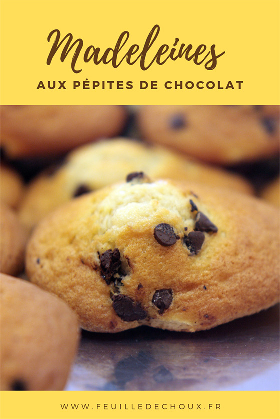 madeleines aux pépites de chocolat - Feuille de choux